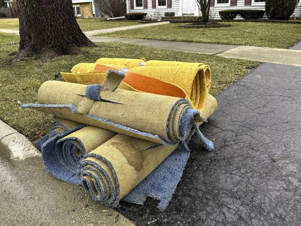 Carpet Haul Away Service in Tarpon Springs