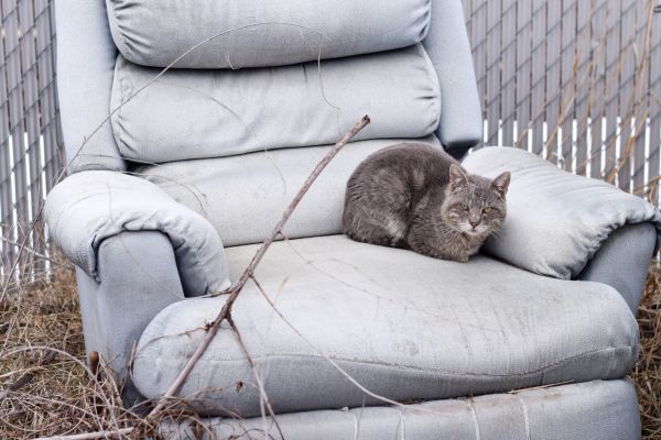 Recliner Disposal in Tarpon Springs